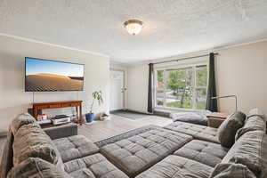 Living room featuring wood finished floors, crown molding, and a textured ceiling