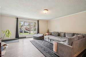 Living area with ornamental molding, wood finished floors, and a textured ceiling