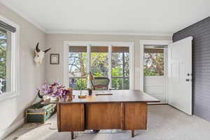 Office area with carpet floors, plenty of natural light, and crown molding