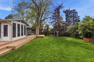 View of green lawn with a sunroom, a wooden deck, and a storage unit
