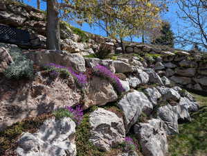Spring flowers fill in the rock retaining walls