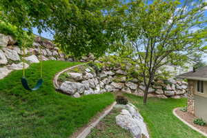 View of grassy yard