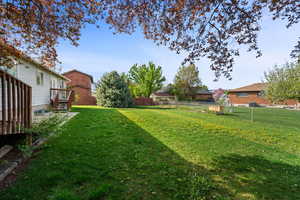 View of fenced backyard