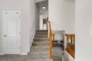 Stairway featuring carpet floors
