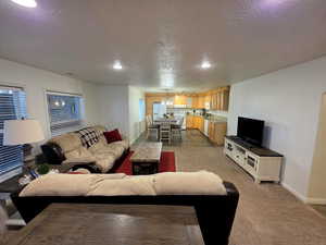 Basement Family Room