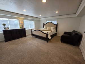 Large Basement Bedroom!