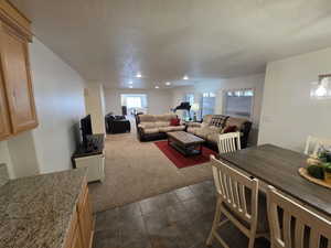 Basement Famiy Room