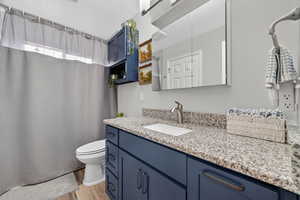 Full bathroom featuring vanity, a shower with curtain, and light wood-type flooring