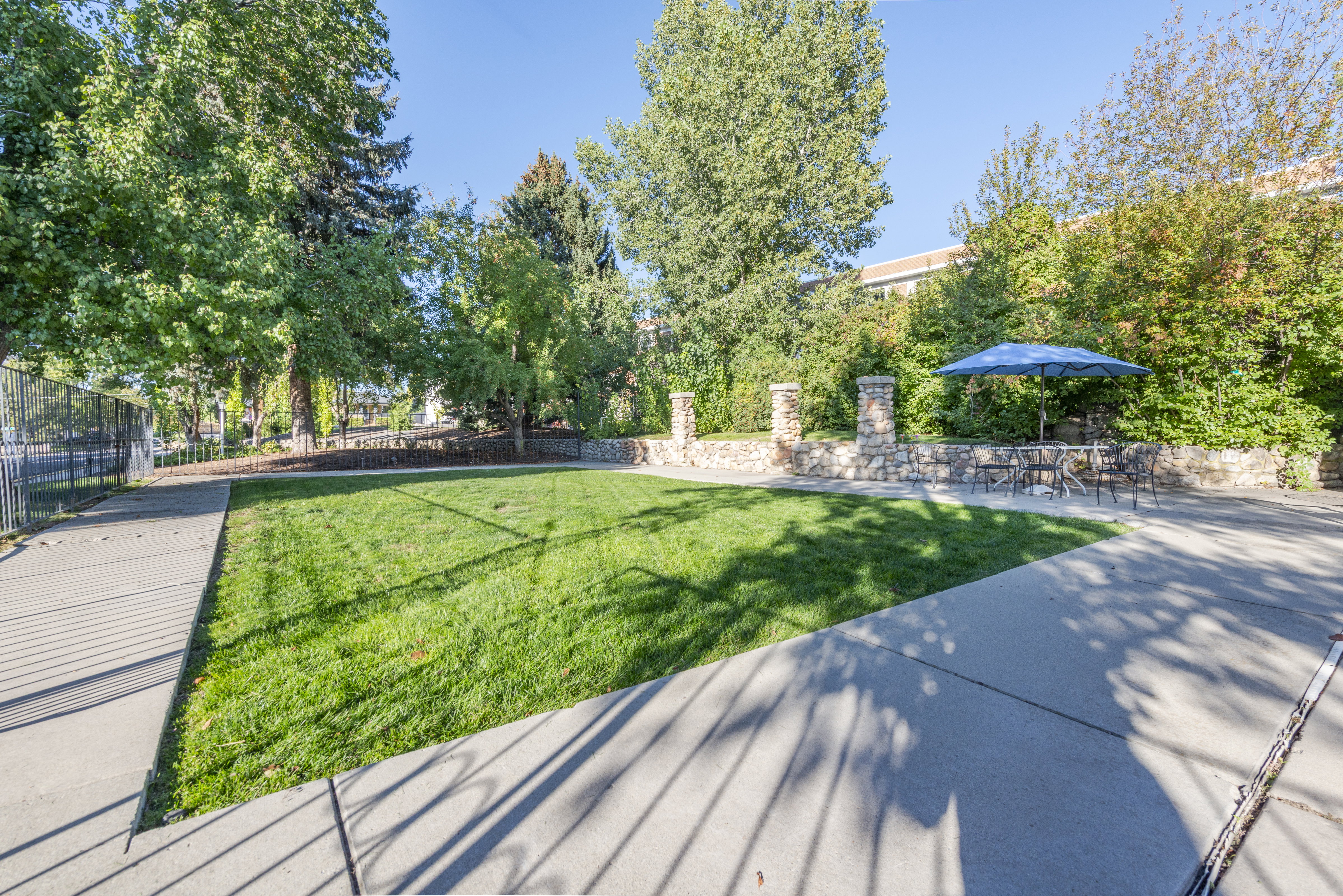 View of yard featuring a patio