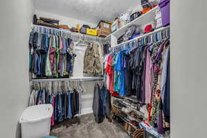 Walk in closet with light colored carpet