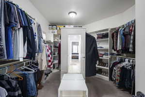 Walk in closet featuring light carpet