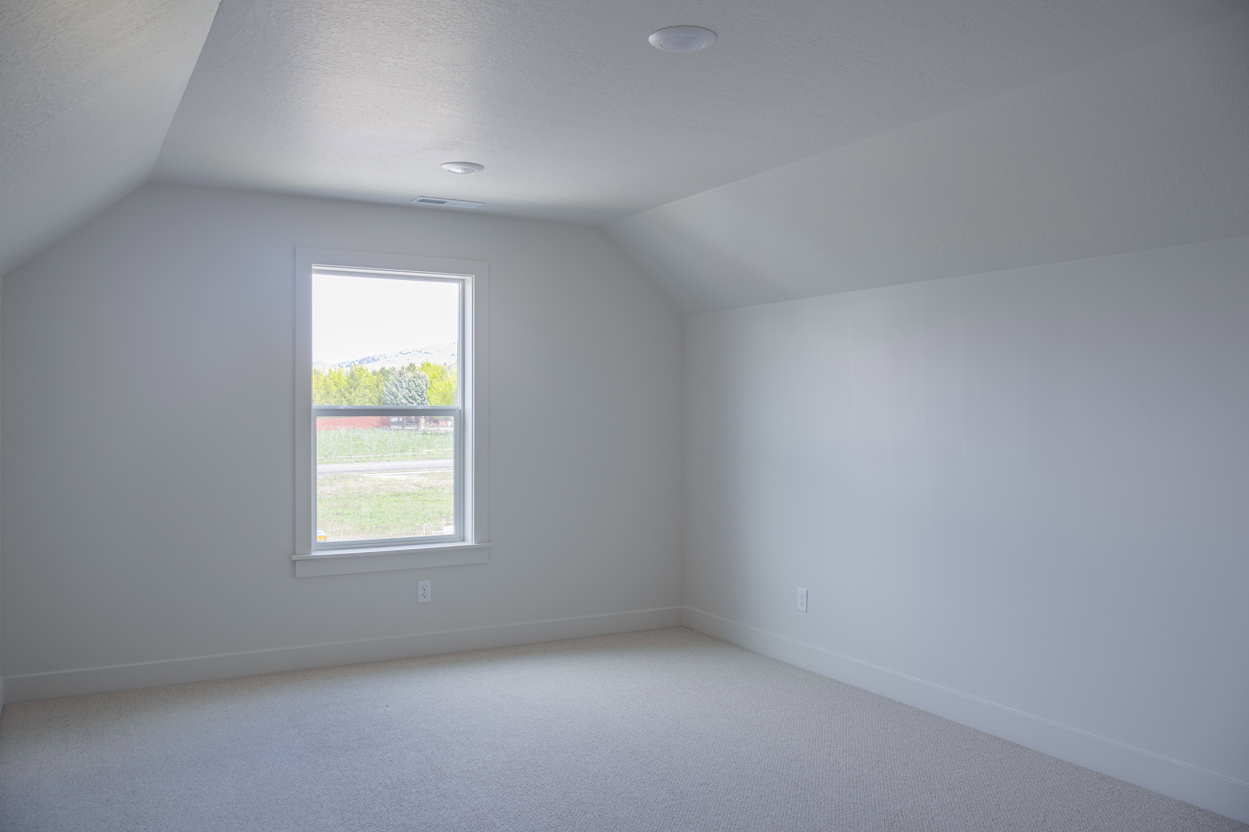 Additional living space featuring light carpet and baseboards