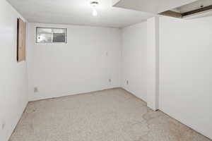 View of basement storage