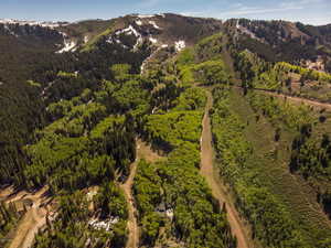 Aerial view of a mountain backdrop and a forest