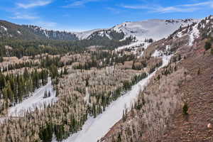 View of mountain background featuring a forest