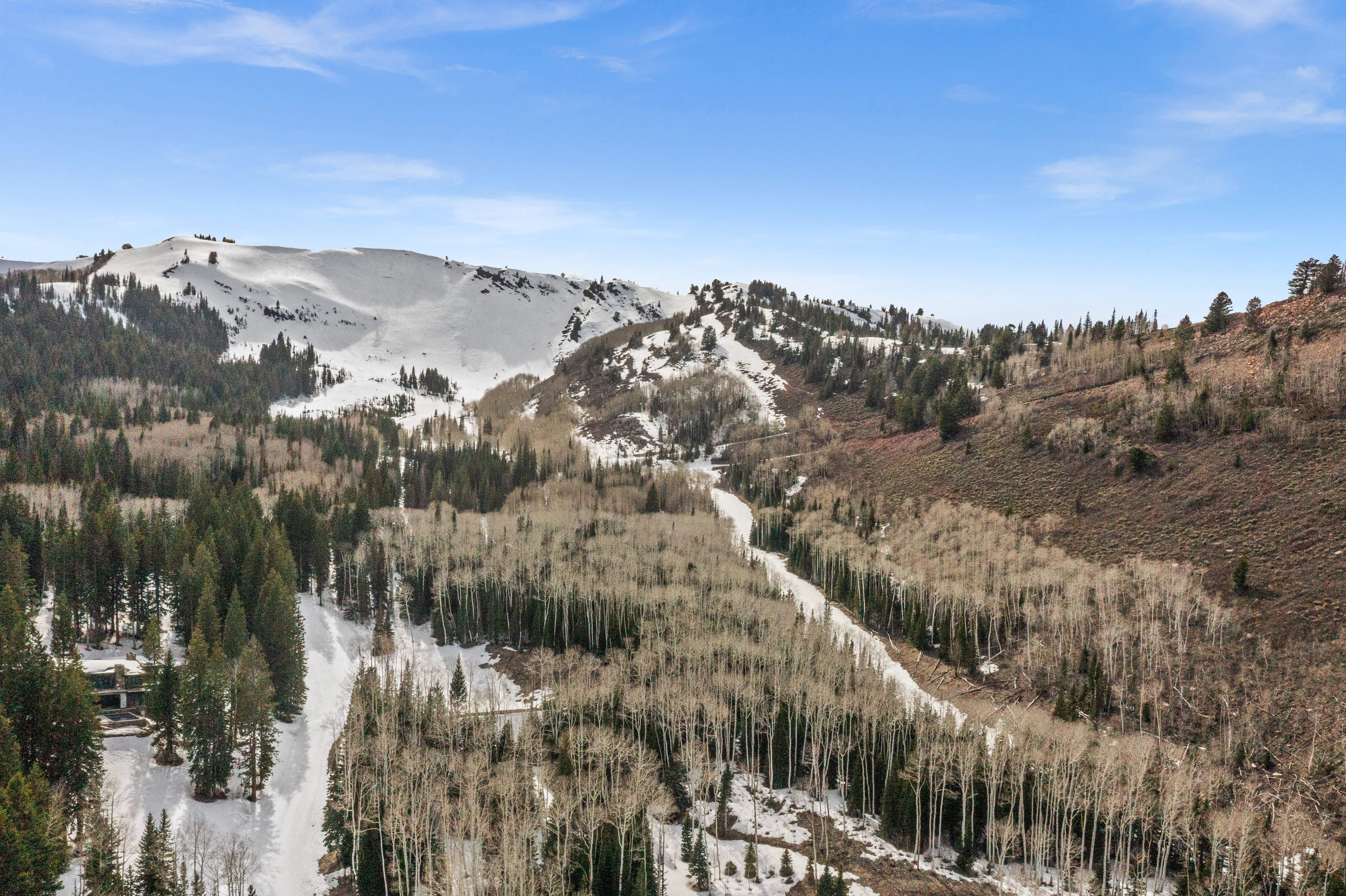 View of mountain backdrop with a forest