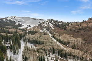 View of mountain backdrop with a forest