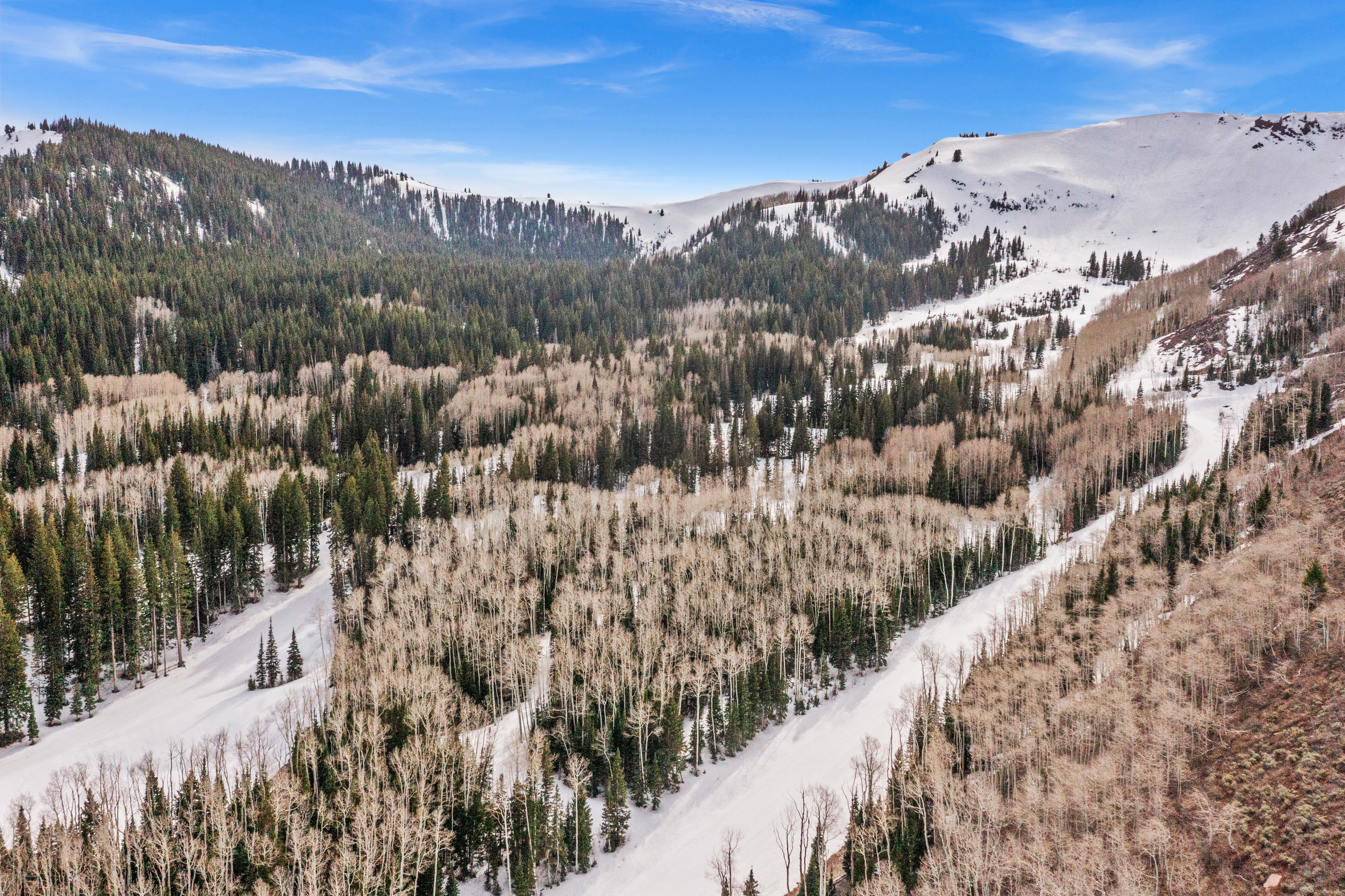 Mountain view with a heavily wooded area