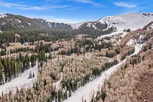 Mountain view with a heavily wooded area