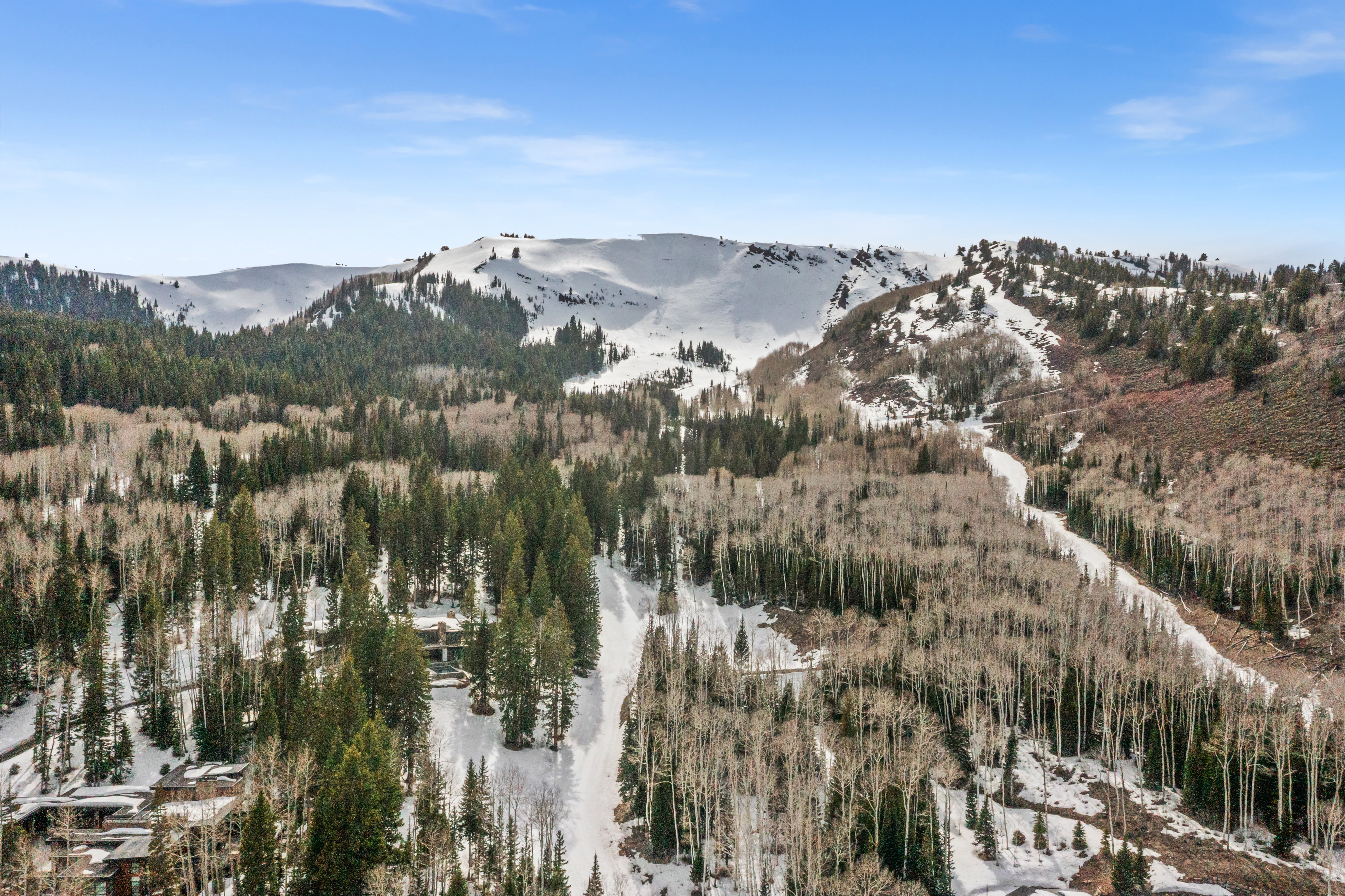 Mountain view featuring a heavily wooded area