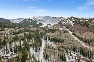 Mountain view featuring a heavily wooded area