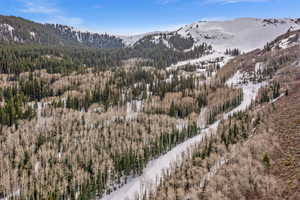 View of mountain background with a forest