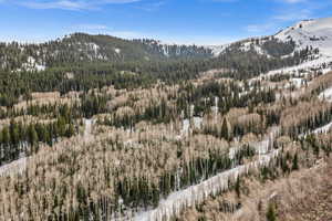 Mountain view with a forest
