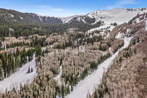 View of mountain background with a forest