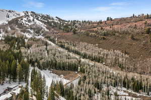 View of mountain background with a heavily wooded area