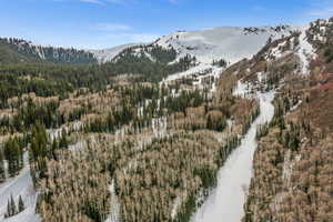 Mountain view with a forest