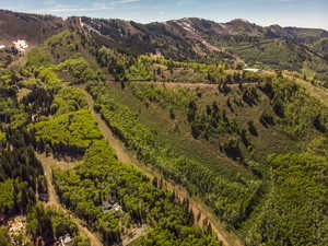 Bird's eye view of mountains and a heavily wooded area