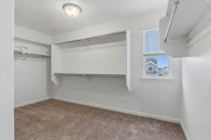 Walk in closet with light carpet