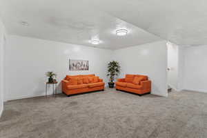 Sitting room with carpet and a textured ceiling