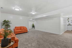 Sitting room with carpet and a textured ceiling