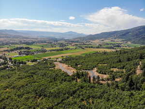 Drone / aerial view of a mountain backdrop and a forest
