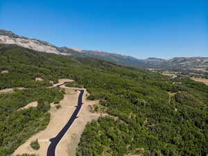 View of mountain backdrop featuring a heavily wooded area