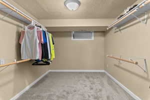 Walk in closet featuring light colored carpet