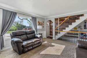 Carpeted living area featuring a decorative wall, arched walkways, wainscoting, crown molding, and a textured ceiling