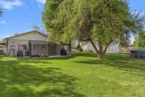View of yard featuring a patio
