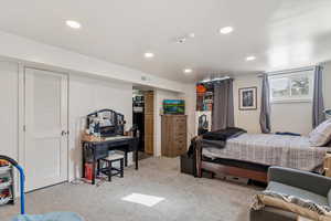 Basement living room currently used as a bedroom