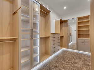 View of walk in closet