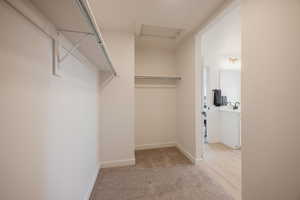 Walk in closet featuring attic access and light carpet