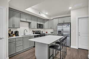 Kitchen featuring gray cabinets, stainless steel appliances, dark wood finished floors, a center island, and recessed lighting