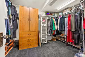 Walk in closet with dark colored carpet