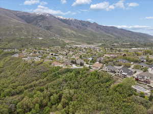 Aerial perspective of suburban area featuring mountains