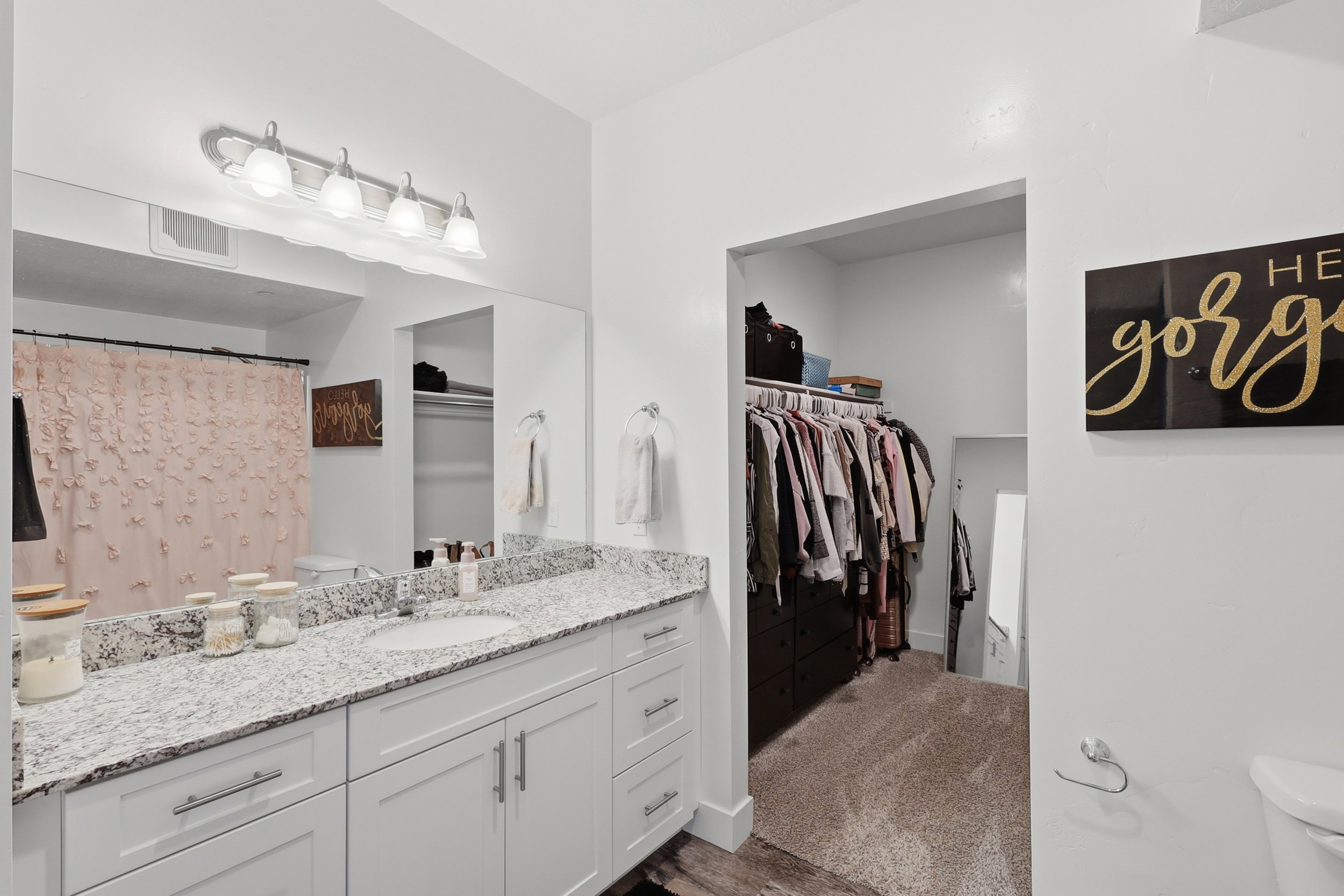 Bathroom featuring vanity, a walk in closet, curtained shower, dark carpet, and dark wood-style floors