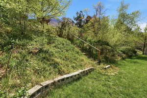 View of grassy yard