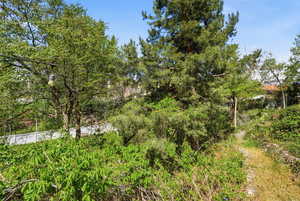 View of wooded area