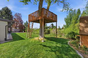View of grassy yard