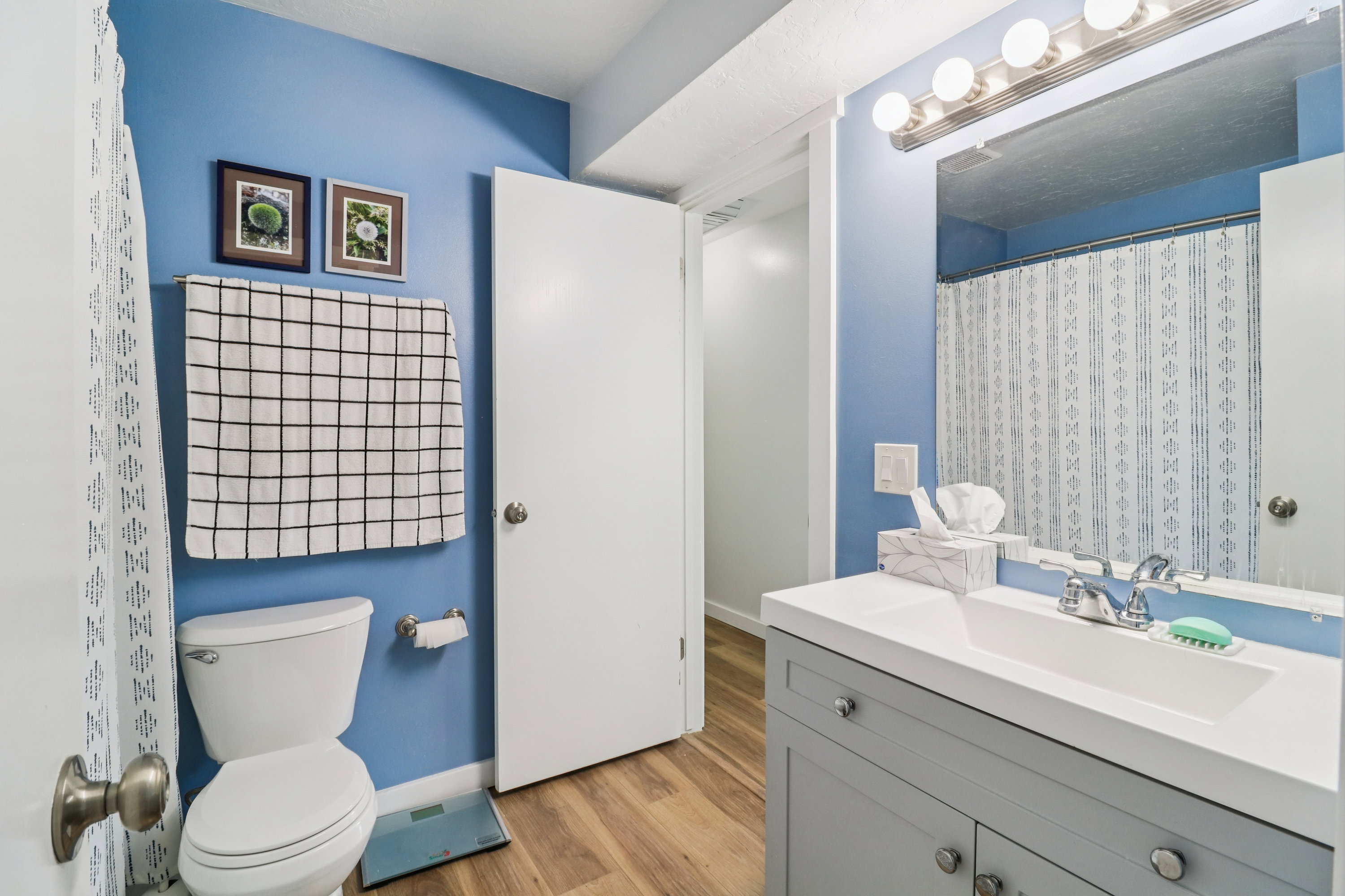 Full bath featuring vanity, a shower with shower curtain, and light wood-type flooring